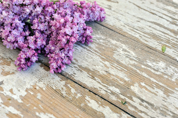 Fresh lilac on a wooden background