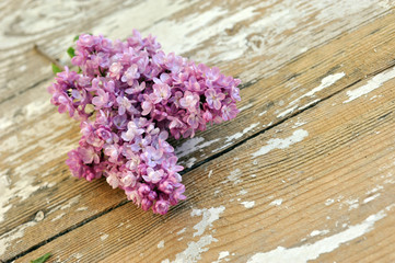 Fresh lilac on a wooden background