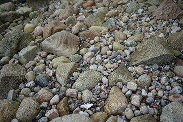 Stones, rocks washed ashore at baltic sea beach, coast, coastlin