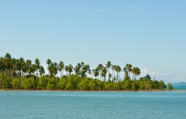 Beautiful tropical island and group of coconut palm trees.