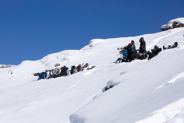 Fototapeta na wymiar The photographers at the snow covered Kibber mountains waiting to capture the glimpse of Snow leopard at Spiti Valley, India on February 14, 2020