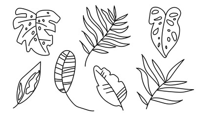 The vector set tropical leaves monsters, banana, palm trees,calathea.Botanical illustration black line art on a white isolated background.Design for web,social networks,stickers, cards,packaging.