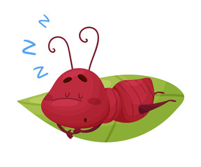 Cartoon Ant Character Sleeping on Green Leaf Isolated on White Background Vector Illustration