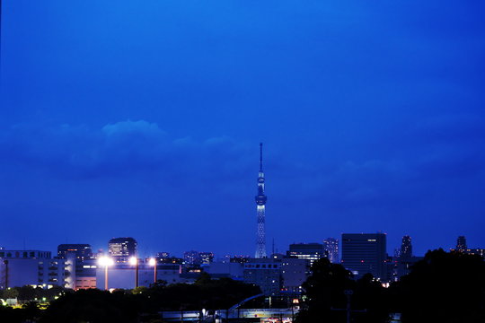 闇夜のタワー © pocketalbum