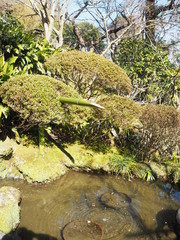 Hokokuji Temple in kamakura, JAPAN