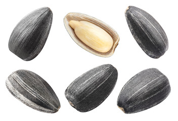 Set of sunflower black seeds, isolated on white background
