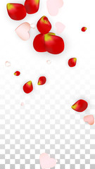 Vector Realistic Petals and Hearts Confetti. Flying Rose and Hearts on Transparent Background. 