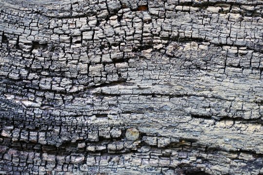 texture of old wall