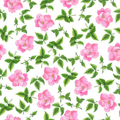 Seamless pattern with beautiful pink garden roses on white background. Hand drawn watercolor illustration.