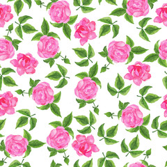 Seamless pattern with pink garden roses on white background. Hand drawn watercolor illustration.