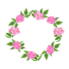 Pink garden rose flowers and leaves frame isolated on white background. Hand drawn watercolor illustration.