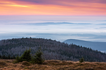 Fototapeta na wymiar Aussicht vom Brocken über Hügel und Wälder mit Talnebel bei Morgenrot, Nationalpark Harz, Sachsen-Anhalt, Deutschland