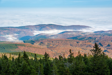 Aussicht vom Brocken über Hügel und Wälder mit Talnebel, abgestorbener Wald, Nationalpark Harz,...