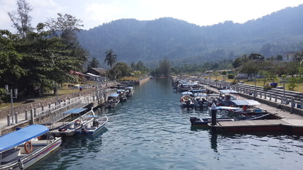 Naklejka premium tioman