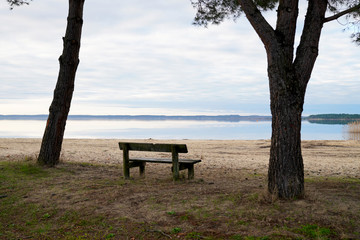 Fototapeta na wymiar wood bench empty in Sanguinet lake sand wild beach calm water in landes france
