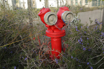 Red fire hydrant in the park on the lawn with flowers. Fire safety concept.