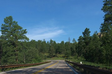 Fototapeta premium Medium close up of scenic drives along winding roads at Custer State National Park, South Dakota.