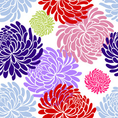 seamless pattern with Chrysanthemums on white background ,japanese floral pattern