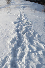 The snowy path on the hill.The snowy path.