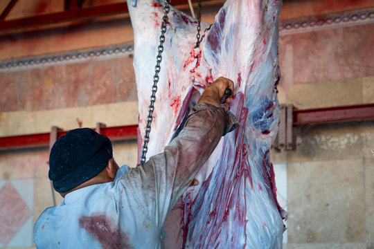 Slaughter house with appliance and slaughtering animal.