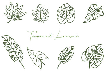 Line art Tropical leaves collection. Vector isolated elements on the white background.