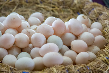 Fresh Eggs are in the basket