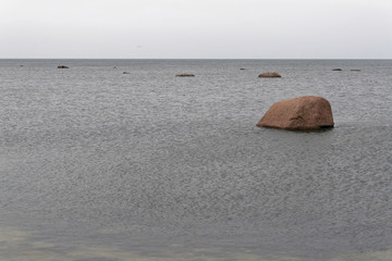 Kamienie na wybrzeżu Bałtyku. - obrazy, fototapety, plakaty