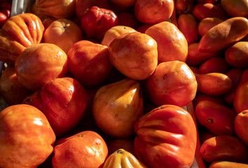 Ripe red tomatoes at a farmers market in Italy