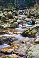 Mountain stream in the spring in the Giant Mountains, Poland .,