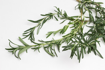 Sprig of rosemary on white background, close up, flat lay