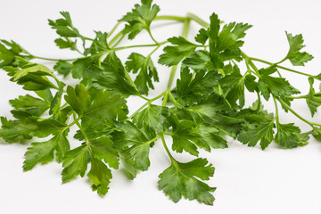 Green parsley leaves on white background