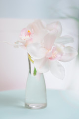 Obraz na płótnie Canvas white orchid in a vase