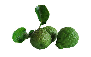 Kaffir lime, citrus hystrix, makrut lime or Mauritius papeda fruit isolated on white with selective focus background