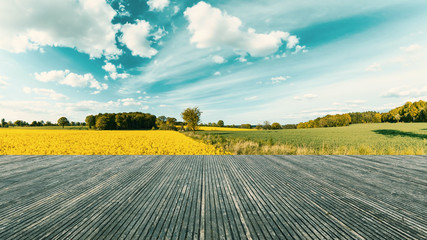 Terrace with a wonderful view. Panorana with yellow field and imposing blue sky. Living in nature. Germany
