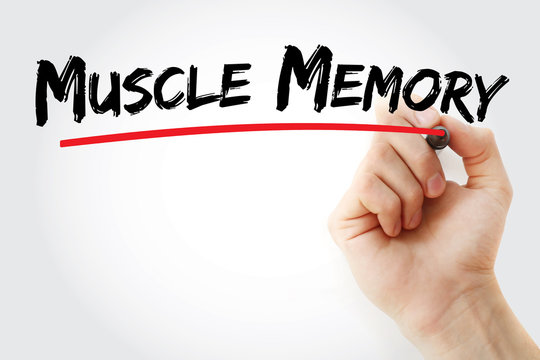 Muscle memory text with marker, concept background