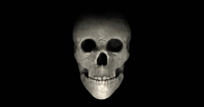 Human skull appears from the darkness