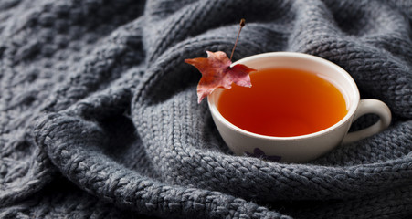 Cup of tea with autumn leaves. Grey knitted scarf background. Copy space.