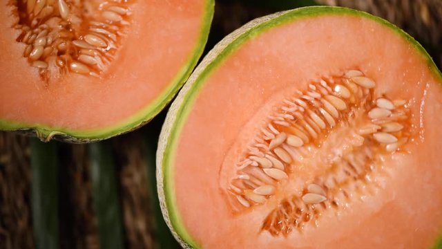 Orange melon on rotating background. Top view. Exotic fruit, tropical palm branch. Vegan and raw food concept. Cantaloupe melons plants