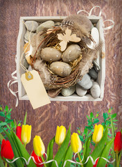 Beautiful spring composition by Easter: nest with eggs and tulips