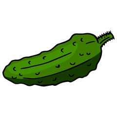 Cute cucumber on white background. Vector image.