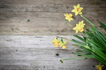 Frühlingsblumen auf Holzhintergrund Ostern Osterglocken Holz