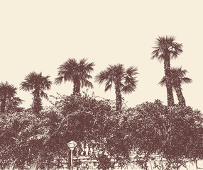 Resort landscape with palm trees. vector illustration