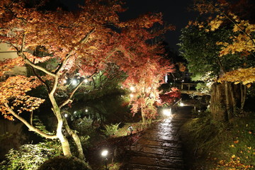 Night-time Autumn Leaf at Konkaikomyo-ji(Kurodani) Temple, Kyoto, Japan