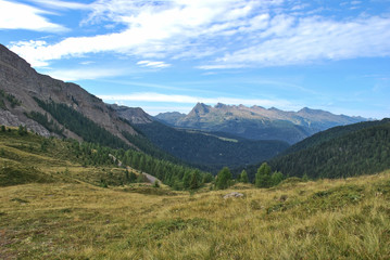 Fototapeta na wymiar Panorama dal Passo Valles in Trentino Alto Adige