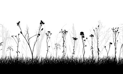 Seamless pattern of meadow with weeds and wild plants, silhouette. Vector illustration.