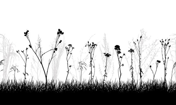 Seamless Pattern Of Meadow With Weeds And Wild Plants, Silhouette. Vector Illustration.