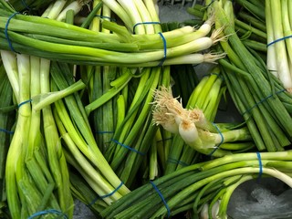 Obraz premium Fresh spring onions bundled and tied with rubber bands in the fresh produce section of a grocery store.