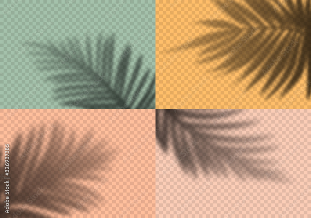 Poster Vector Set of Transparent Shadows of Palm Leaves. Decorative Design Elements for Collages. Creative Overlay Effect