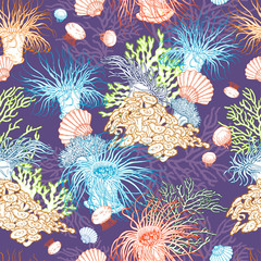 Fototapeta na wymiar Colorful seamless pattern with sea anemones, corals, jelly fishes and shells.
