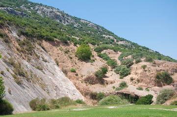 Fototapeta na wymiar Fragment of mountain hill with green trees, bushes on sunny day